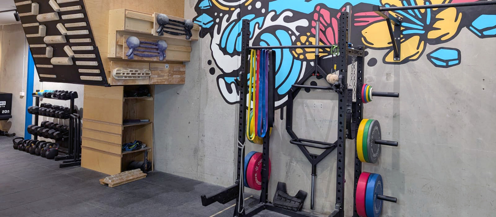 Gym's Equipments for training